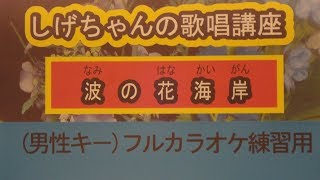 「波の花海岸」服部浩子・しげちゃんのカラオケ実践講座 / 男性用カラオケ(＋４)