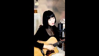 홍시(세로버젼) ♥ Live by I.Q(아이큐) 음충258회 #가수아이큐 #iqmusic #verticaliq