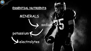 Nutrition, Hydration & Health [Science of NFL Football]