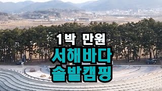 너무 유명해졌나? 1박 만원의 서해바다 가성비 최고 솔밭 캠핑지/그런데...