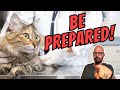 Vet EXPLAINS Must-Have Cat Survival Kit!