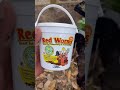 easy diy worm bin