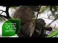 Tropical Forest Alliance (TFA) Colombia -- Spanish w/Eng subtitles