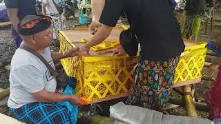 ngayah part2 persiapan melasti #nyepi #nyepi2023 #melasti #mendak #tradisi #kampungbalikalimantan