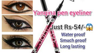 yanqina waterproof eyeliner || yanqina pen eyeliner Honest review and demo || Natural Honest beauty