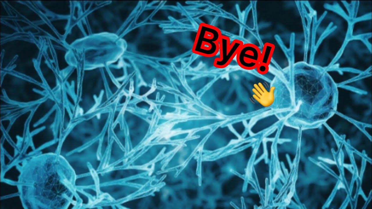 How I Lost 6 Brain Cells Youtube