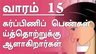 கர்ப்பம் | வாரம் 15 | தமிழ் | Pregnancy | Week by Week | Week 15 | Tamil