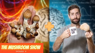 Combining Psilocybin With Lion's Mane - New Patent and $60M In Funding?  (The Mushroom Show Ep 8)