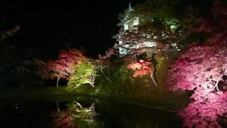 【ASMR(?)】HIROSAKI PARK in autumn ,2018. 秋の弘前公園。弘前公园的秋天。 #弘前  #弘前城  #紅葉