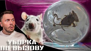 Рыбку не прощу ► Уборка по вызову ► Сезон 1/3