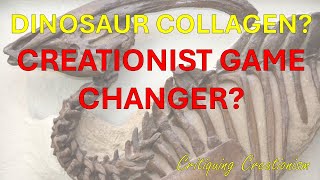 Endogenous Collagen Found in Dinosaur Fossil! But Is It New?