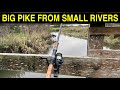 Small Rivers Big Pike.. Tips & Tricks To Help You Catch