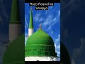 حیرت انگیز واقعہ roza e rasool ky ander kia hoa youtubeshorts youtube ytshorts viral