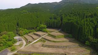 まだ田植えしてないけど【坂元棚田】ドローン空撮4K　日本の棚田百選　宮崎県日南市