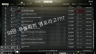 [타르코프]엠포 최저반동보다 1높은 총