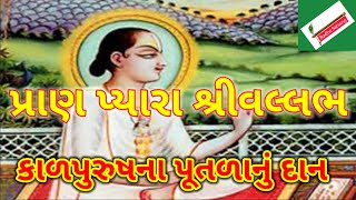 પ્રાણ પ્યારા શ્રી વલ્લભ - કાળપુરુષના પૂતળાનું દાન- Mahaprabhuji