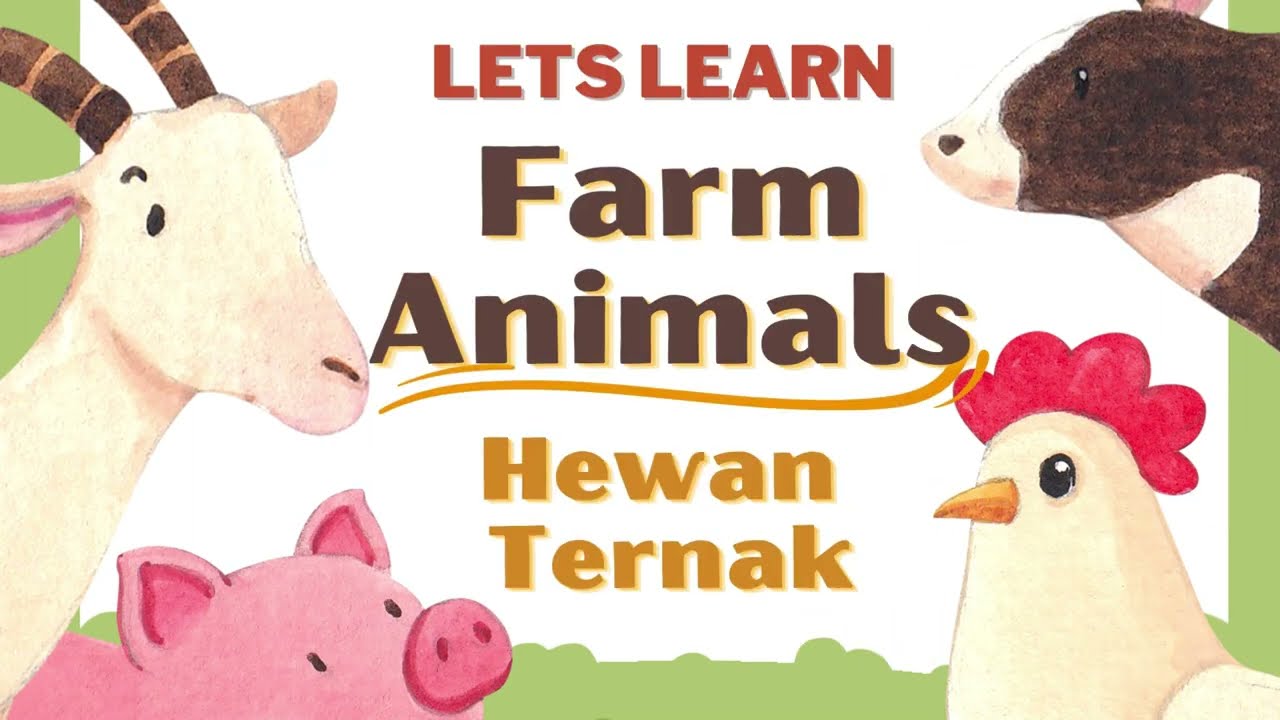 Lets Learn-Farm Animals || Mari Belajar Hewan Ternak || Video Belajar ...