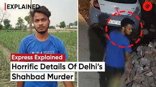 Delhi Murder Case Explained: Why And How Did A 20-Year-Old Stabbed And Stoned A 16-Year Old to death