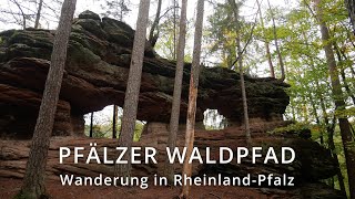 Pfälzerwald. Wanderung auf dem Pfälzer Waldpfad. Hiking the Palatinate Forest Path in Germany.