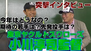 【2019ヤクルトキャンプ】小川監督が今年のヤクルトについて高木豊と対談！