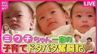 【子育てまとめ】苦労は3倍…でも喜びも3倍！三つ子ちゃんがやってきた！ / 総勢32人！熊本の“岸さん一家”  / 夢はオリンピックで金メダル！5男2女！体操大家族 など（日テレNEWS LIVE）