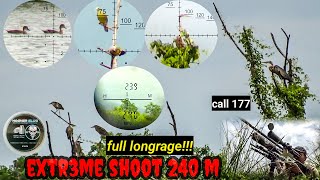 BERBURU‼️WOW LUAR BIASA DI JARAK 240 METER MASIH BISA HIT DENGAN CALL 177 ‼️ FULL LONGRANGE