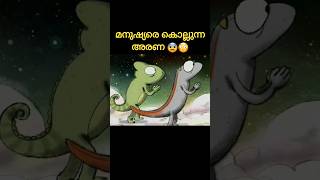 മനുഷ്യരെ കൊല്ലുന്ന അരണ 😨😳 / #shorts #viral #entertainment #trending