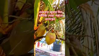 শুক্রবার জুমার দিন নবীজি দোয়া পরতে বলেছেন #trending #shortvideo #shortsvi #tiktok @nadiasvlog8338