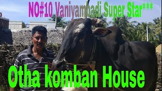 Vaniyambadi Super Star House Otha komban 1thVideo January 15, 2018