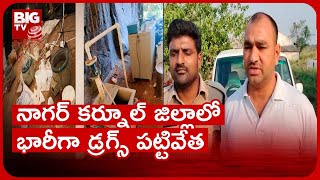 Nagarkurnool District Drugs Case | నాగర్ కర్నూల్ జిల్లా‌లో భారీగా డ్రగ్స్ పట్టివేత | BIG TV Telugu