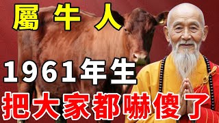 屬牛人，1961年辛醜年生，2025年的年齡是64歲。2025年運勢太可怕，把大家都嚇傻了！【慧安說禪】#生肖 #財運 #運勢 #屬相 #風水 #命理