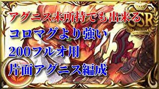 アグニスなくても可！　コロマグより火力と耐久を両立させた、200hellフルオ用　片面アグニス編成　【グラブル】