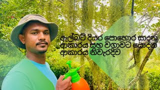 ඇල්බට් දියර පොහොර සාදන ආකාරය සහ වගාවට යොදන ආකාරය නිවැරදිව 🤗🤗 how to use albert  solution fertilizer