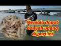 Menjala dapat banyak udang di port baru