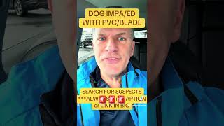 Dog Ki Ed By Makeshift Spear No Suspects