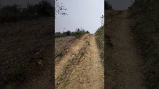 असम गांव एरिया रोड 🛣️ की हालत Assam Village Area Road Condition