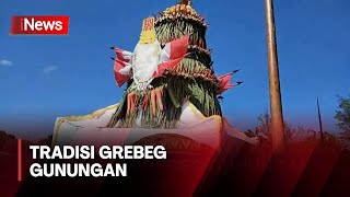 Ratusan Warga dan Wisatawan Antusias Ikuti Tradisi Grebeg Gunungan