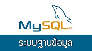 MySQL ตอนที่ 5 - การใช้งาน LEFT JOIN เลือก Products จาก Categories