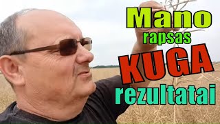 Javapjūtė 2020/Mano tiesioginės sėjos rapsas Kuga/Rezultatai