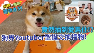 狗界Youtuber聖誕交換禮物!竟然抽到愛馬仕!?ft.連環泡有芒果 一豬小公主 希露弟弟啃雞腿【阿楞開箱】