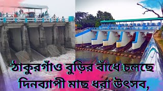 ঠাকুরগাঁও বুড়ির বাঁধে চলছে  দিনব্যাপী মাছ ধরা উৎসব,  Burir Baadh Thakurgaon Tangon  SCB Vlog BD 2024