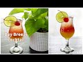 Bay Breeze Cocktail