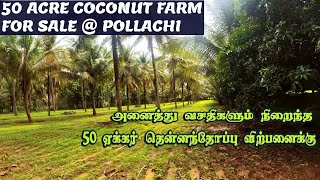 50 Acre Coconut Farm with All Facilities for sale @Pollachi Near Anaimalai | 50ஏக்கர் தென்னந்தோப்பு