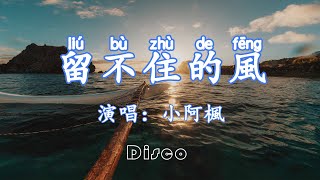 留不住的風-小阿楓『你是我留不住的風，填不滿的空，是我忍不住的思念，得不到的寵』/傷感情歌♫動態歌詞lyrics/pīn yīn gē cí ♫