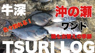 【釣りログ　牛深　中の瀬ワンド】牛深の磯は色々釣れて楽しめます！！