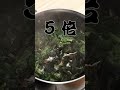 減醣湯品｜菠菜海帶味噌湯，飽足感又健康 日本男子的家庭料理 tasty note