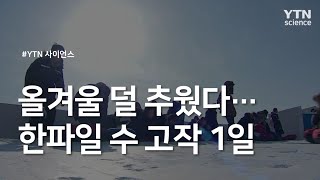 올겨울 덜 추웠다...한파일 수 고작 1일 / YTN 사이언스