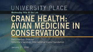 Crane Health: Avian Medicine in Conservation | University Place