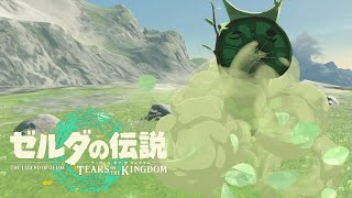 コログの実 ラネール山 24か所【ゼルダの伝説 ティアーズ オブ ザ キングダム】