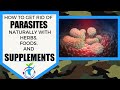 How To Get Rid Of Parasites Naturally with Herbs, Foods and Supplements